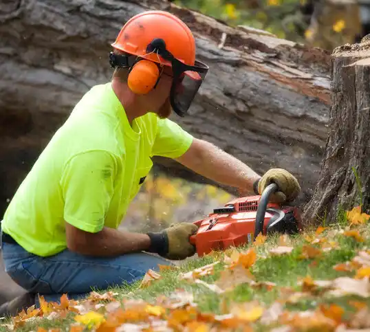 tree services Delaware